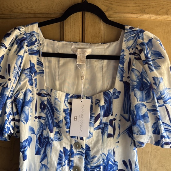 Caroline Constas 🔥 ☀️ Floral Blue and White line mini dress A line. - Picture 6 of 13